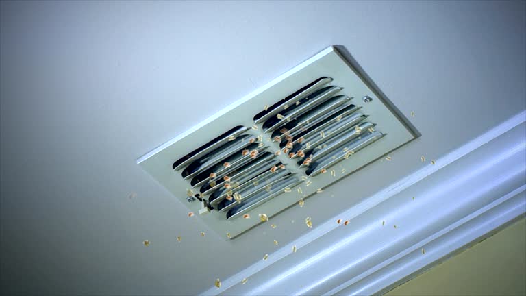 Best Local Air Duct Cleaning Services  in East Los Angeles, CA