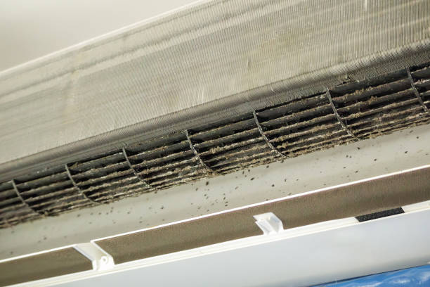 Best HVAC System Cleaning  in East Los Angeles, CA